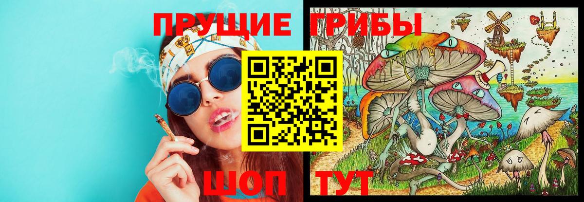 Галлюциногенные грибы прущие грибы Лысьва