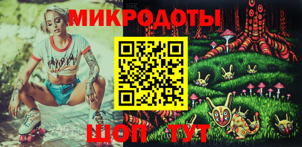 Лысьва  что такое   Вход с VPN  Псилоцибиновые грибы Psilocybe 